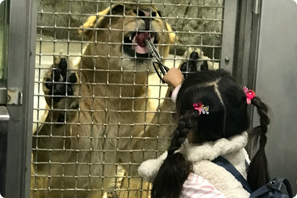 キッズLP_写真①_ズーラシア