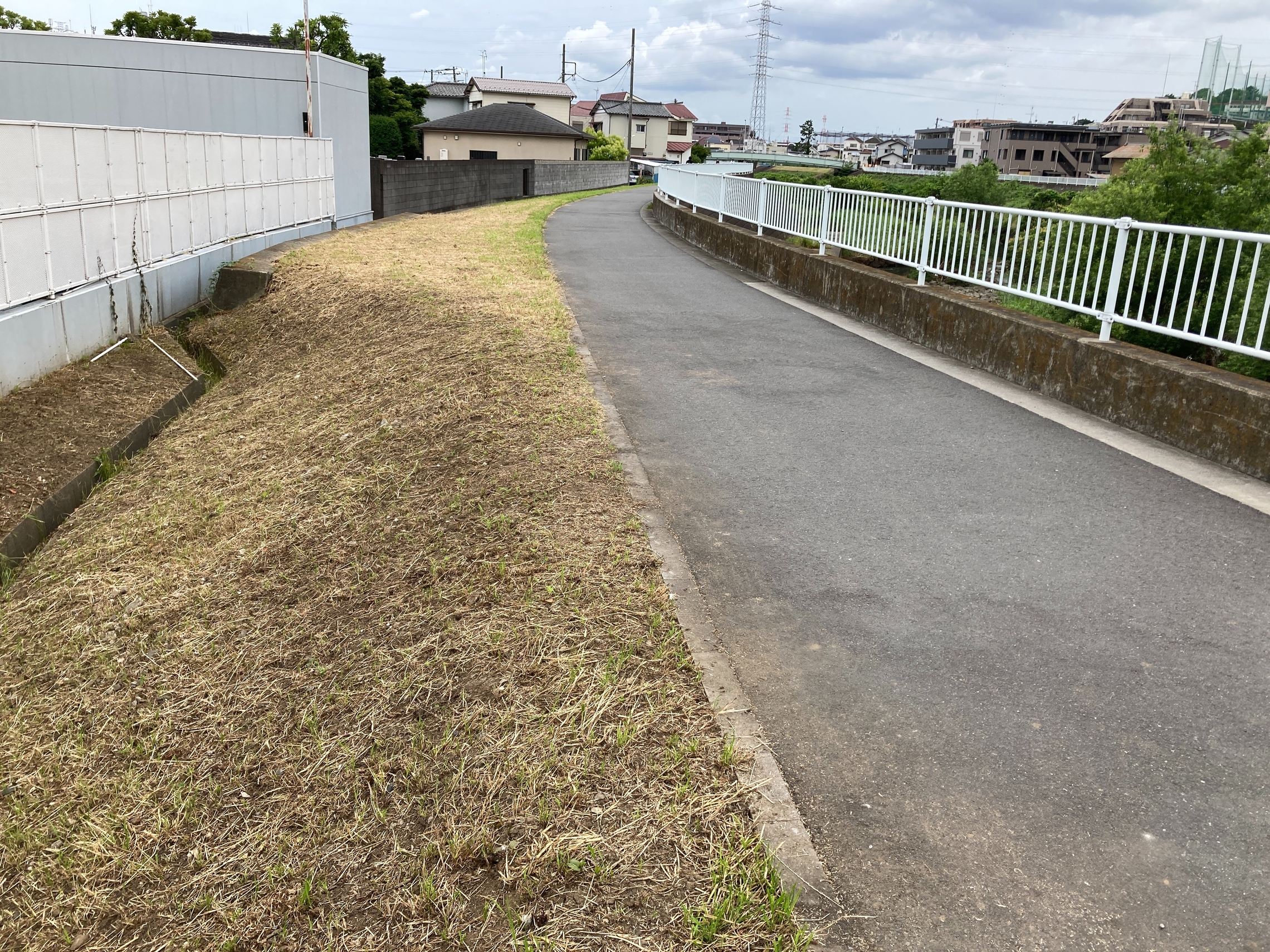トヨタ　トヨペット　北加瀬　矢上川　花　散歩　草　横浜トヨペット