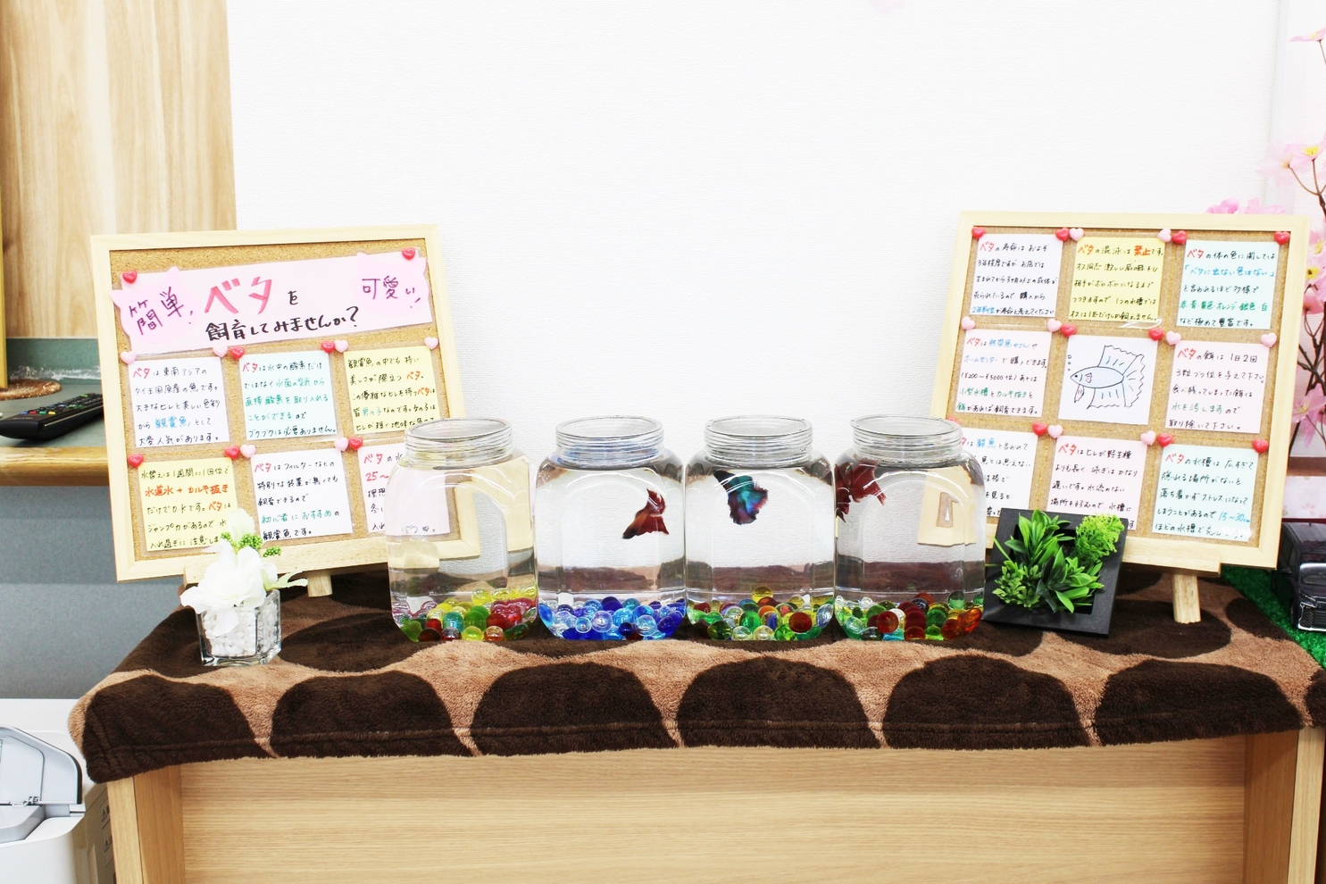 4099602_3993904_YP440_店舗装飾
