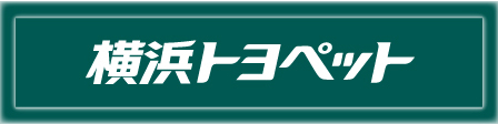 yp_00