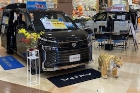湘南モールフィル