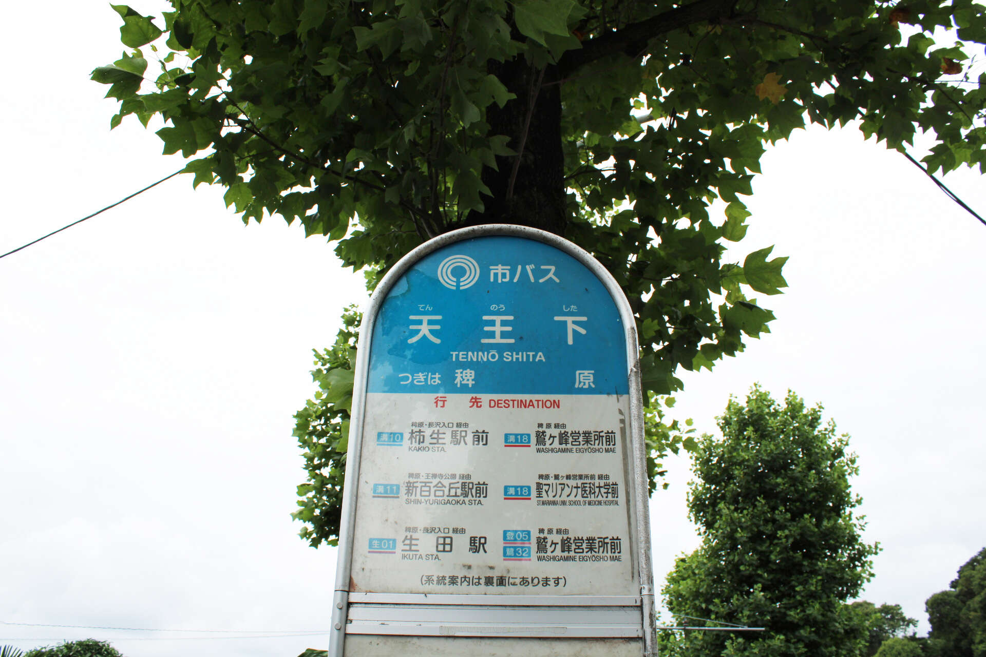 宮前水沢店_川崎市バス 「天王下」（鷲ヶ峰営業所、新百合ヶ丘駅方面）からの経路3