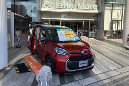 コレットマーレ