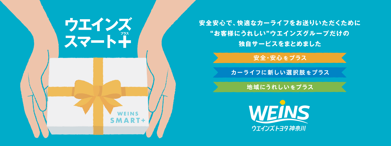 weins_smartplus_pc