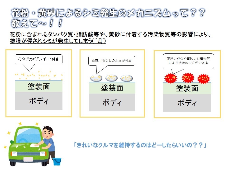 花粉によるシミの発生