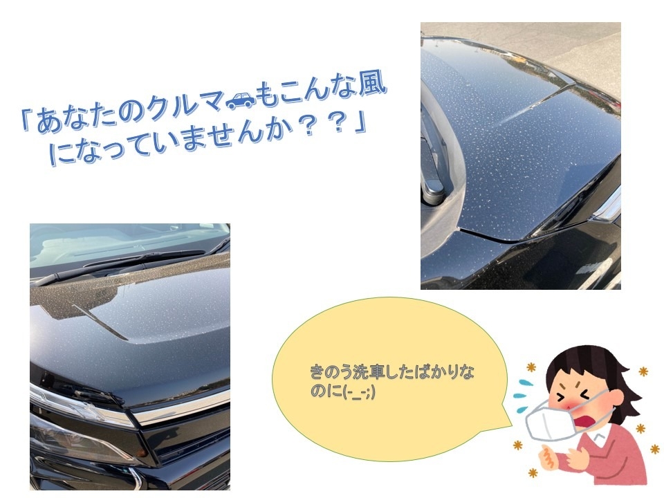 車に花粉が付着