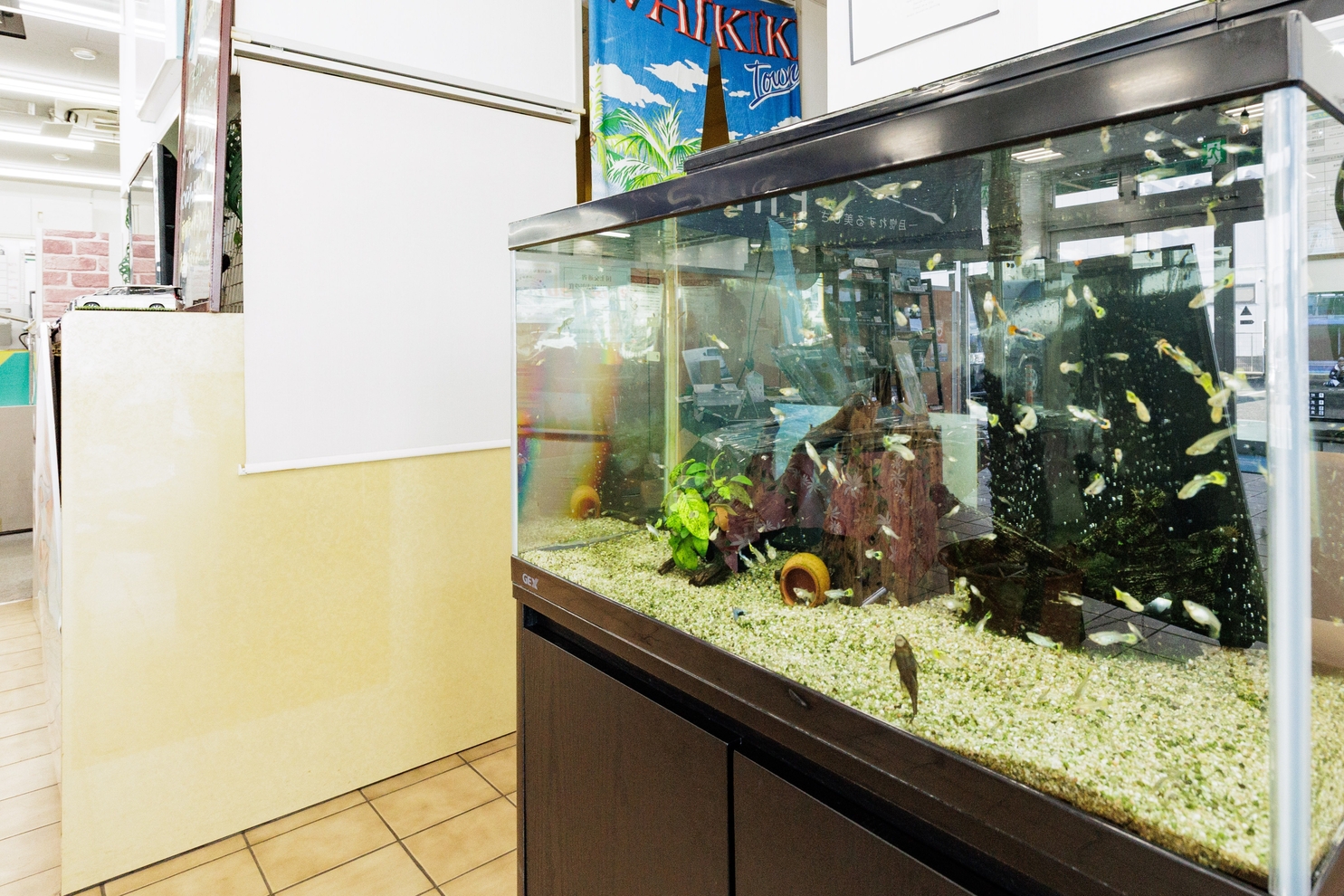 570_店舗装飾