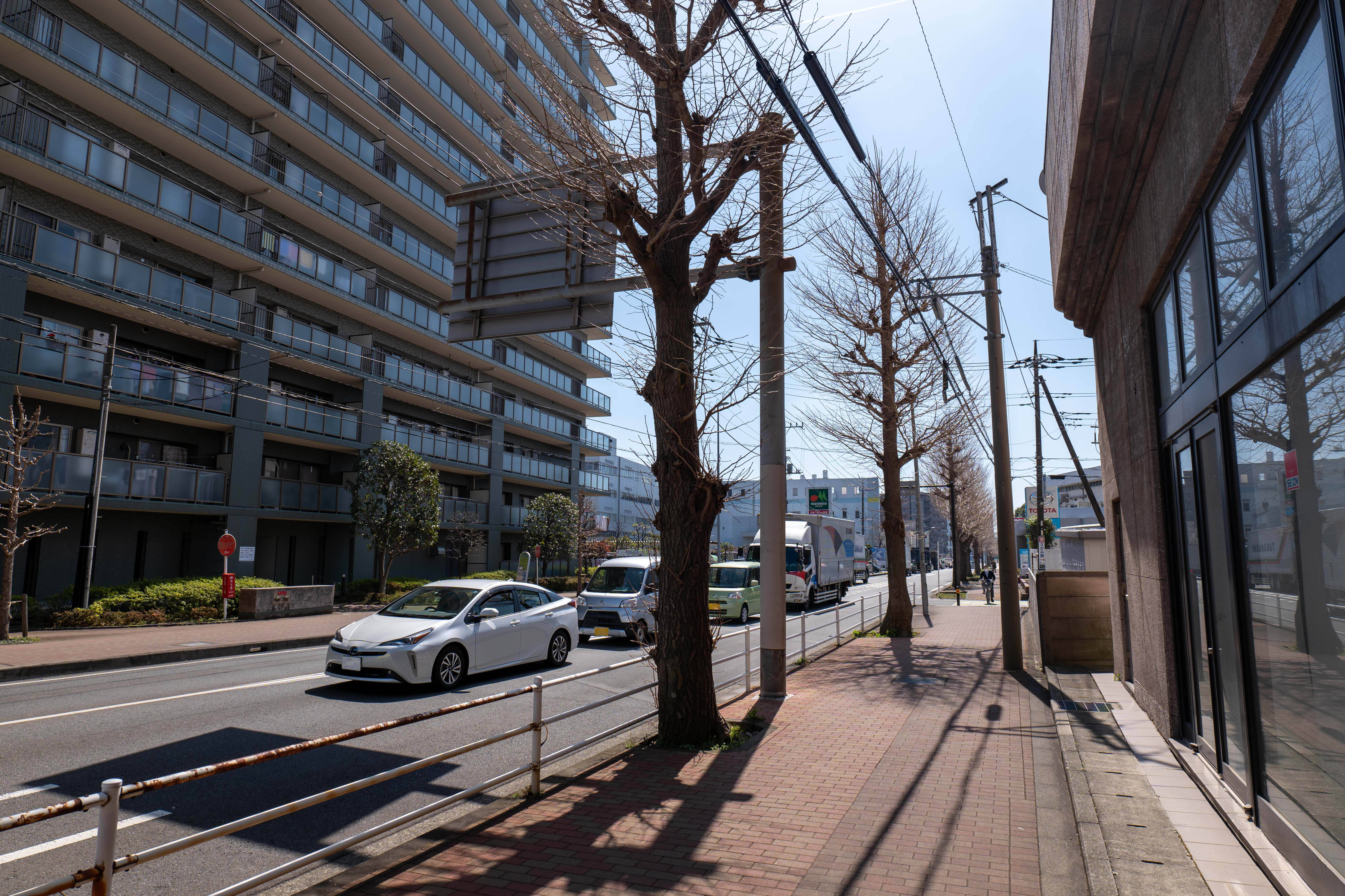490_経路３_案内イチョウ通り