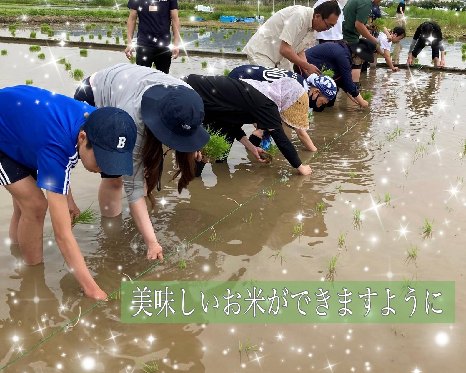 メダカ米,田植え,桑原,上大井,