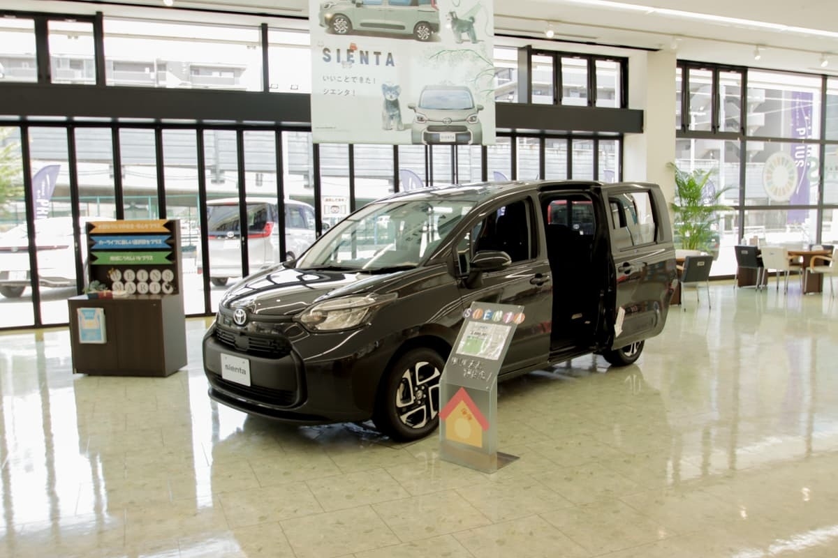 641_展示車