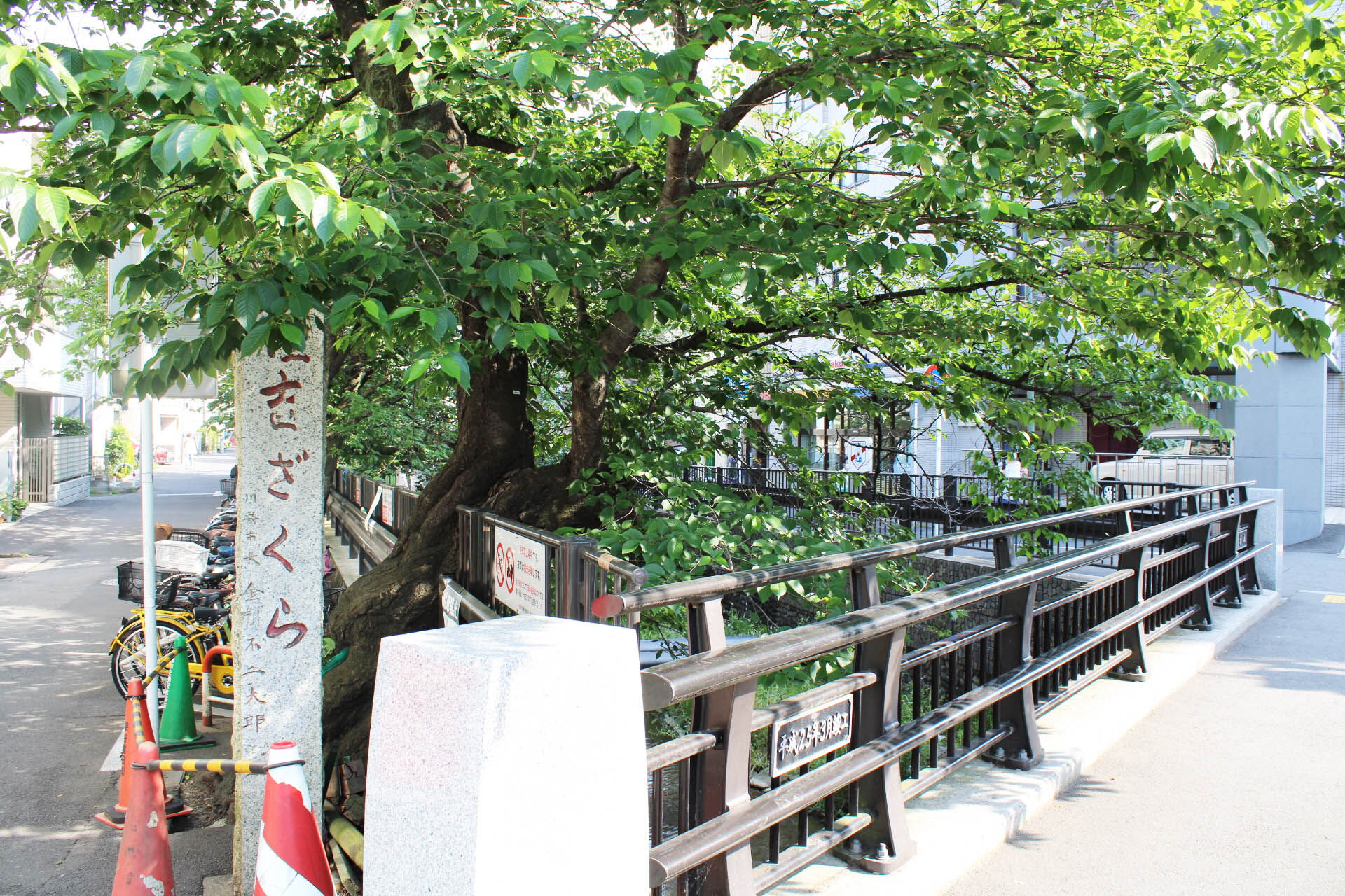 4065448_340_最寄り樹元住吉3