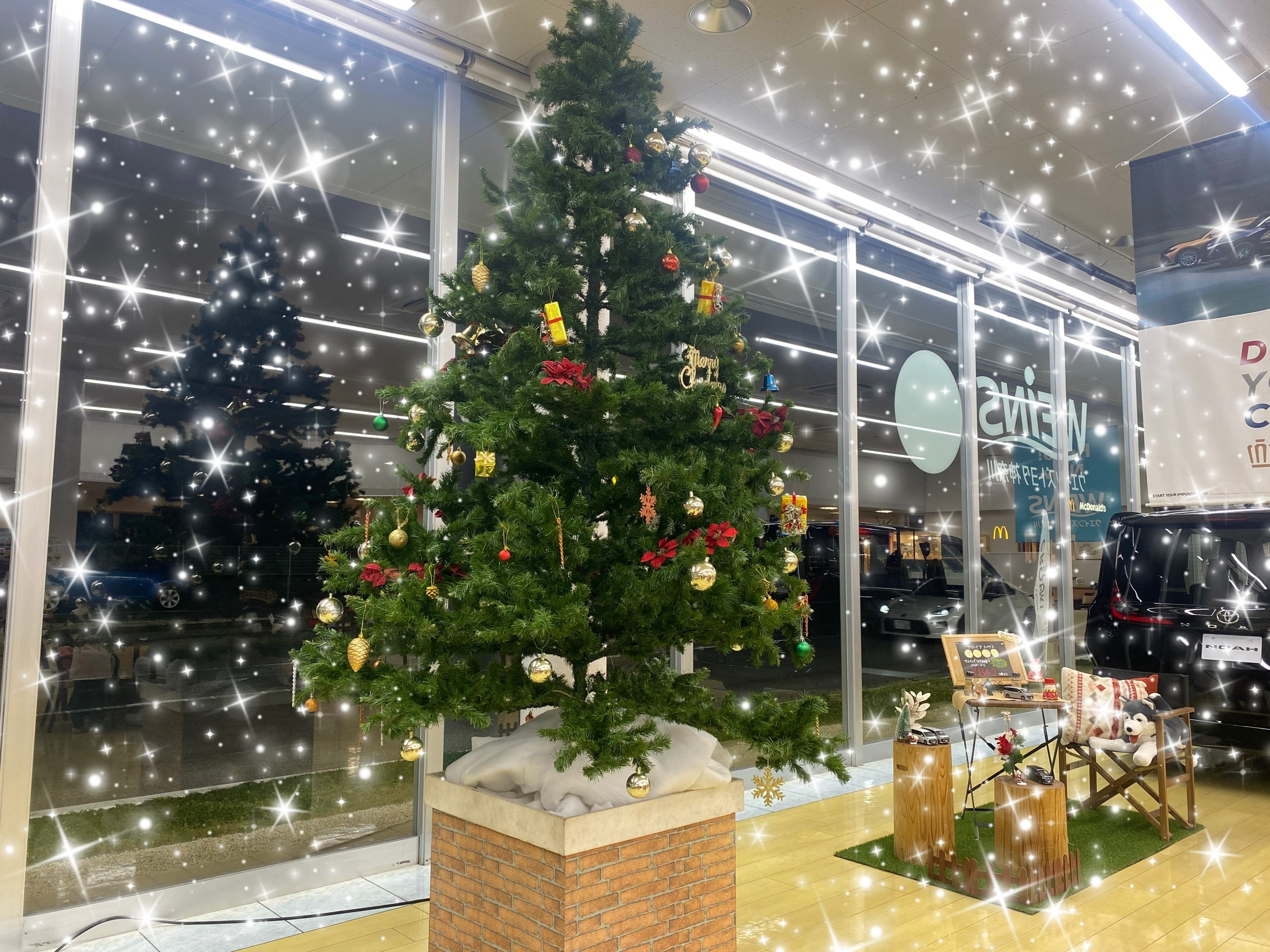 クリスマスツリー,クリスマス,12月