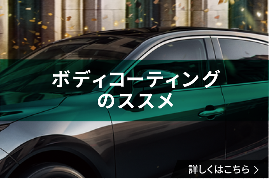 ボディコーティング SEO