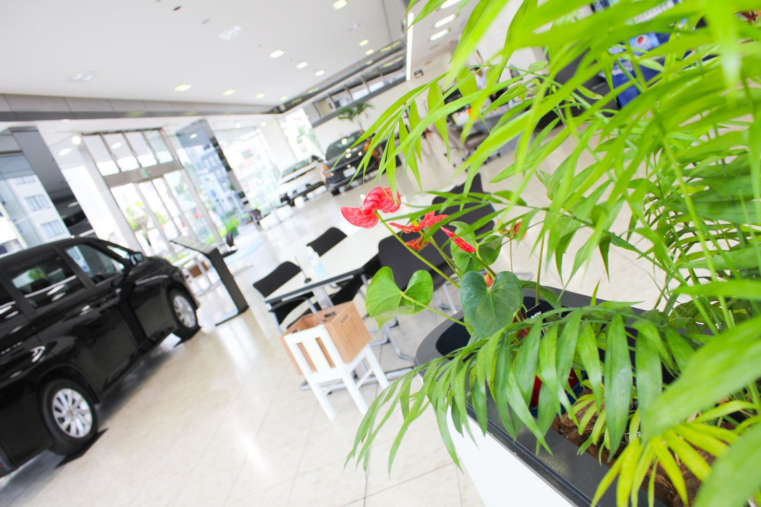 東神奈川店_ショールーム１