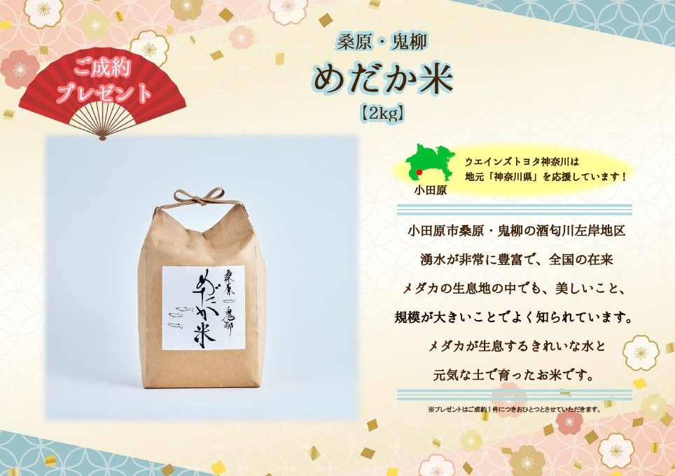 めだか米