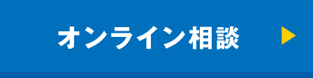 WSP_CV_online