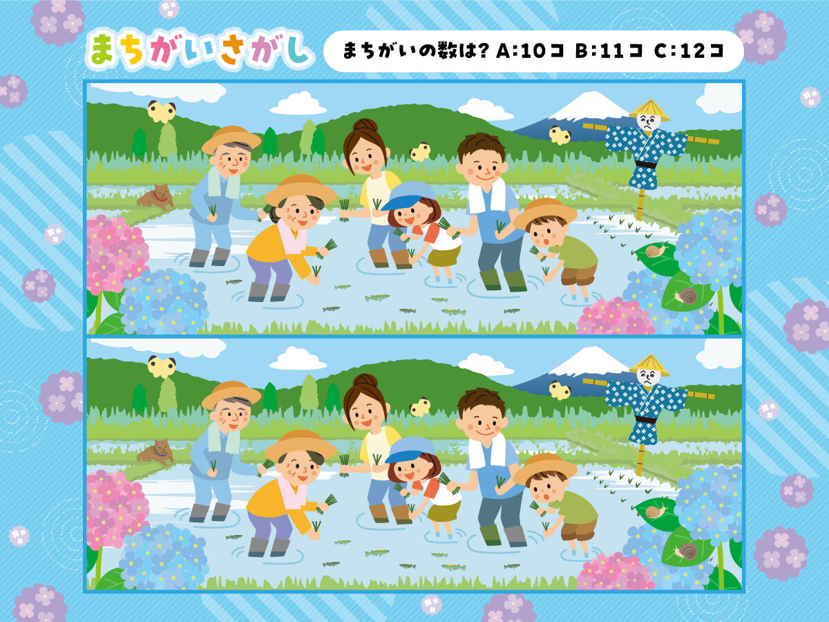 まちゃみ様確認ページ momose MT-OSAKAZAKURA'25/E （Canal Deep BLU-VGR）#20602