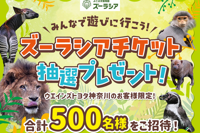 コトトキ体験_ズーラシア20250923