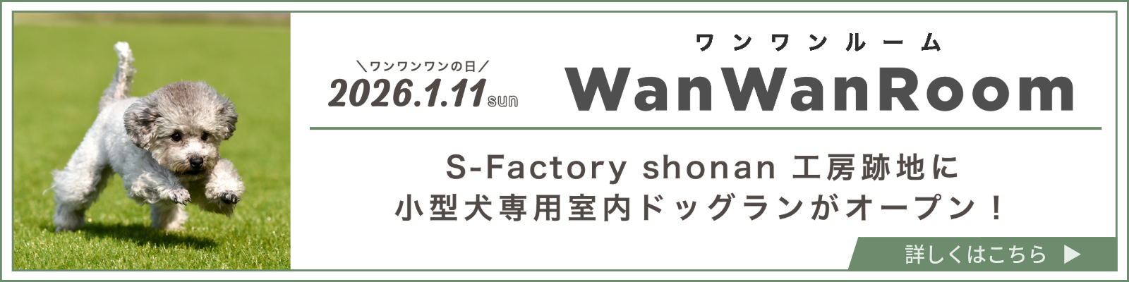 S-Factory shonan | 神奈川県のトヨタ車ディーラーなら【ウエインズ