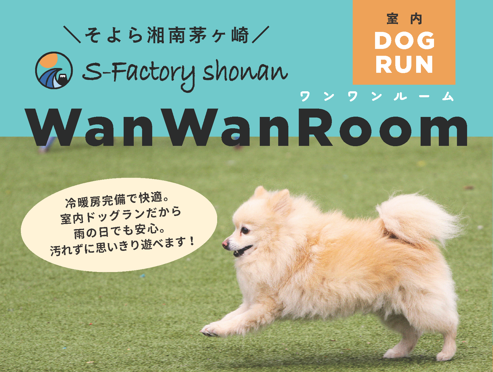 WanWanRoom（ワンワンルーム）｜S-Factory shonan | 神奈川県のトヨタ