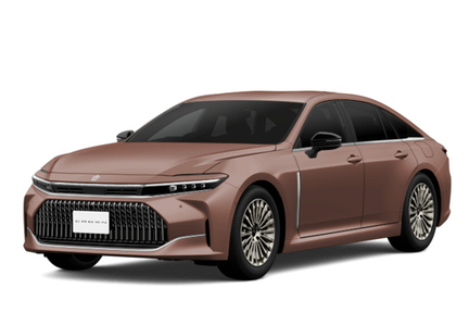 プレシャスブロンズ〈4Y6〉フロントサイド