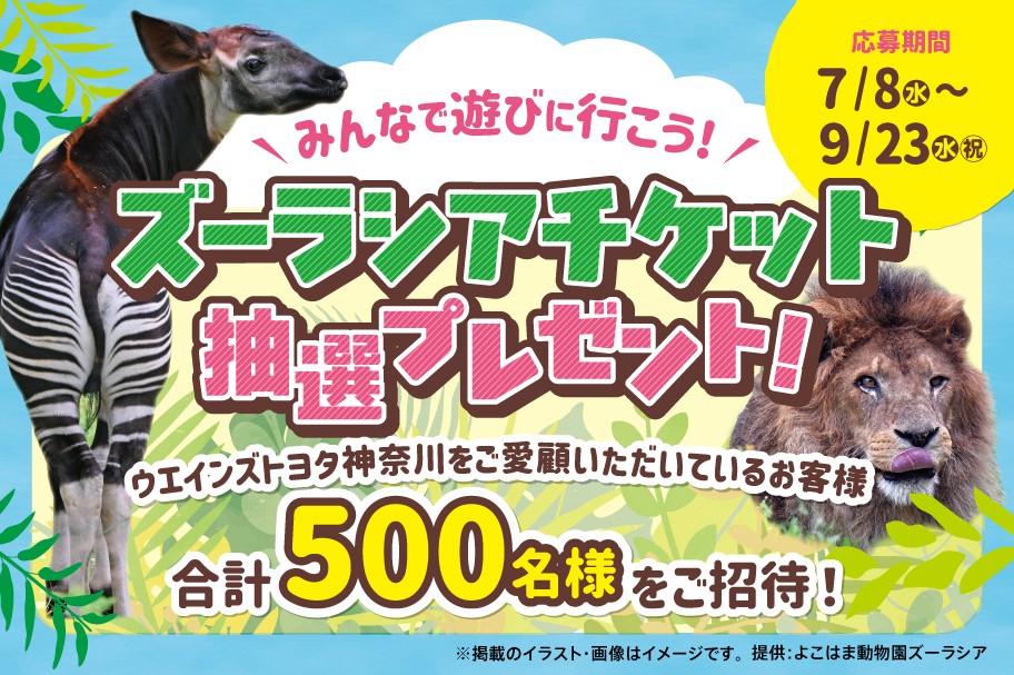 応募期間7/8(水)～9/23(水・祝)　みんなで遊びに行こう！ズーラシア抽選チケットプレゼント！合計500名様をご招待！