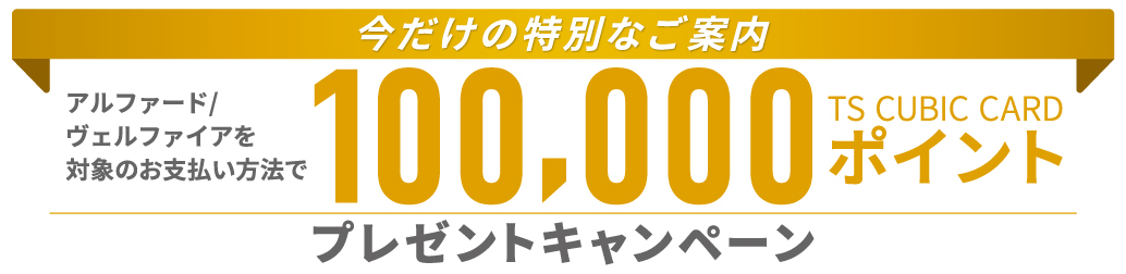 今だけの特別なご案内 対象のお支払い方法で TS CUBIC CARD 100,000PTプレゼントキャンペーン