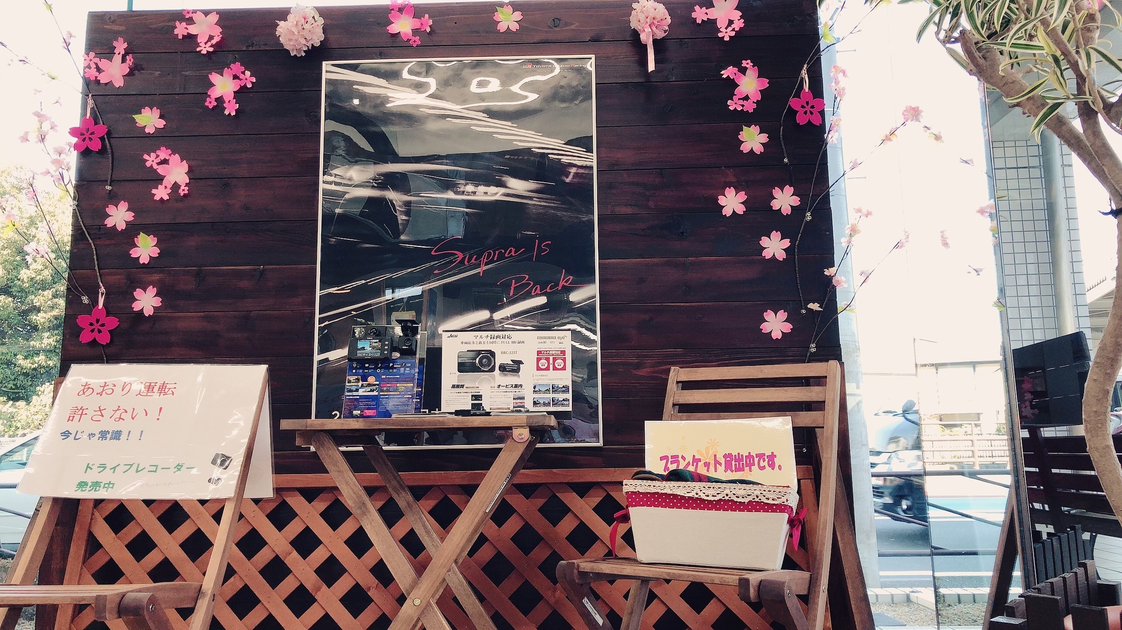 ドライブレコーダー 桜