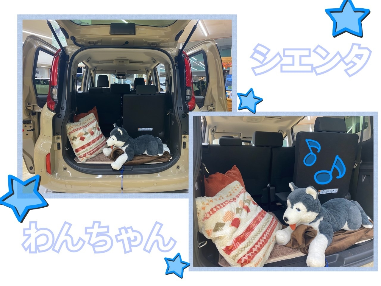 新型シエンタ、シエンタ犬、秋仕様